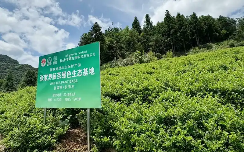 Traceable Cultivation Base ZAC Biotech