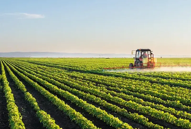 Sustainable Agricultural Botanical Solutions — ZAC Biotech Co., Ltd.